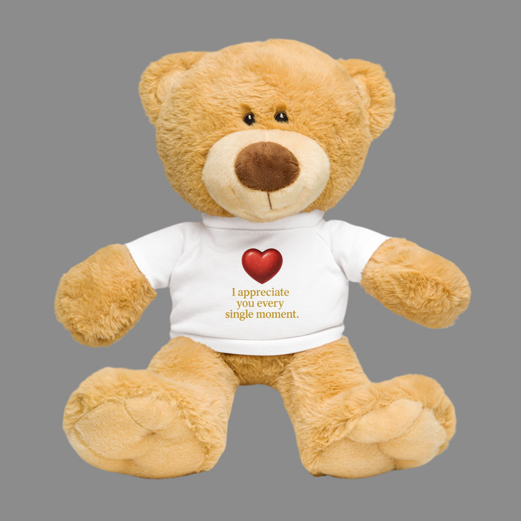 Teddy bear with a t-shirt