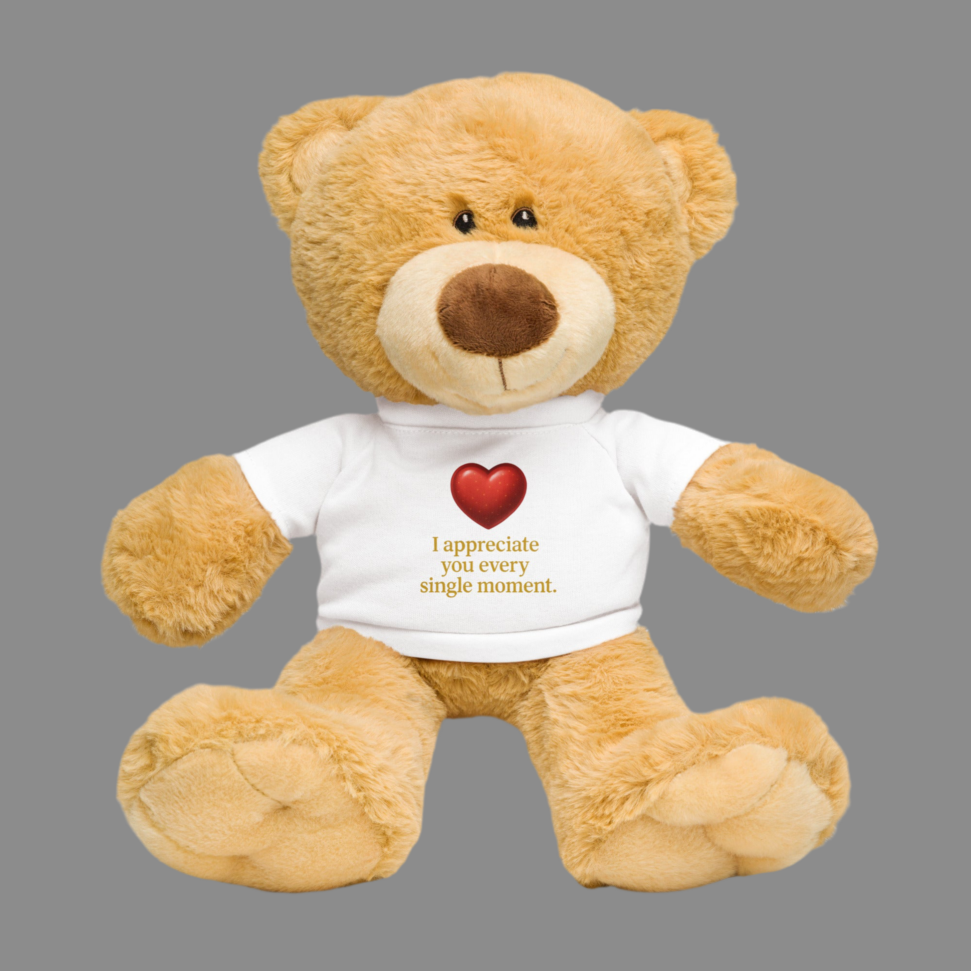 Teddy bear with a t-shirt